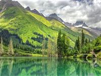 花開金川 · 為梨而來！不容錯過的半山萬畝梨景！